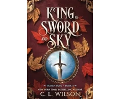 KNYGA C L Wilson King of Sword and Sky