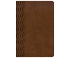 KNYGA C. S. B. Bibles CSB Bibles by Holman CSB Everyday Study Bible, British Tan LeatherTouch