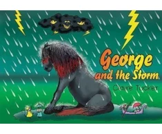 KNYGA C Tucker George and the Storm