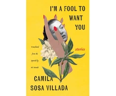 KNYGA Camila Sosa Villada I'm a Fool to Want You