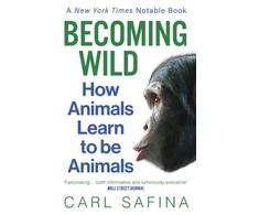KNYGA Carl Safina Becoming Wild
