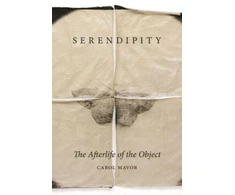 KNYGA Carol Mavor Serendipity