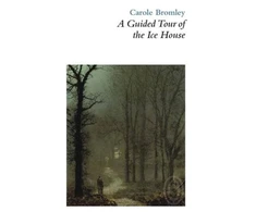 KNYGA Carole Bromley Guided Tour of the Ice House