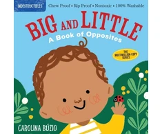 KNYGA Carolina Buzio Indestructibles: Big and Little: A Book of Opposites