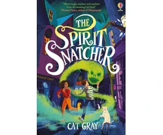 KNYGA Cat Gray Spirit Snatcher