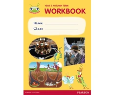KNYGA Catherine Casey Bug Club Pro Guided Y5 Term 1 Pupil Workbook