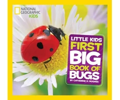 KNYGA Catherine D Hughes Little Kids First Big Book of Bugs