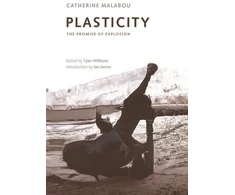 KNYGA Catherine Malabou Plasticity
