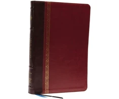 KNYGA Catholic Bible Catholic Bible Press NRSVCE, Great Quotes Catholic Bible, Leathersoft, Burgundy, Comfort Print