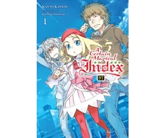 KNYGA Certain Magical Index NT, Vol. 1 (light novel)