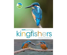 KNYGA Chandler David RSPB Spotlight Kingfishers