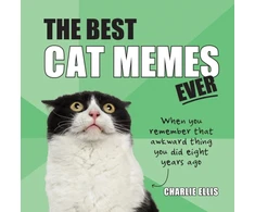 KNYGA Charlie Ellis Best Cat Memes Ever