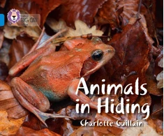 KNYGA Charlotte Guillain Animals in Hiding