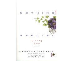 KNYGA Charlotte J Beck Nothing Special