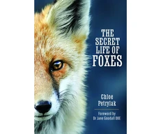 KNYGA Chloe Petrylak Secret Life of Foxes