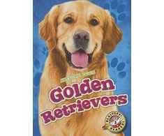 KNYGA Chris Bowman Golden Retrievers