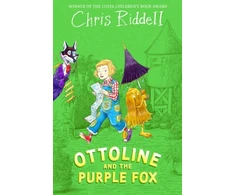 KNYGA Chris Riddell Ottoline and the Violetinė Fox