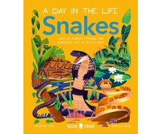 KNYGA Christian Cave Snakes (A Day in the Life), What Do Cobras, Pythons, and Anacondas Get Up to All Day?