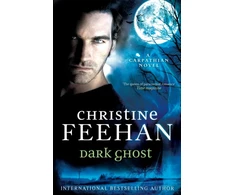 KNYGA Christine Feehan Dark Ghost