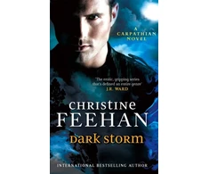 KNYGA Christine Feehan Dark Storm