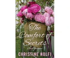 KNYGA Christine Nolfi Comfort of Secrets