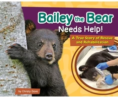 KNYGA Christy Gove Bailey the Bear Needs Help!