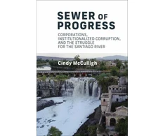 KNYGA Cindy Mcculligh Sewer of Progress