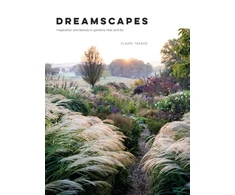KNYGA Claire Takacs Dreamscapes