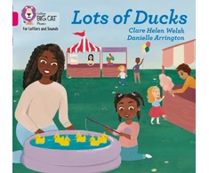 KNYGA Clare Helen Welsh Lots of Ducks
