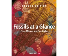 KNYGA Clare Milsom Fossils at a Glance