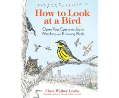 KNYGA Clare Walker Leslie How to Look at a Bird