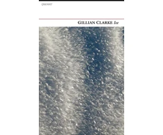 KNYGA Clarke Gillian Ledas