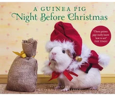 KNYGA Clement Clarke Moore Guinea Pig Night Before Christmas