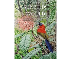 KNYGA Clive F Mann Sunbirds of the World, Sunbirds, Flowerpeckers, Spiderhunters and Sugarbirds, Second Edition