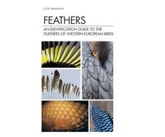 KNYGA Clo Fraigneau Feathers