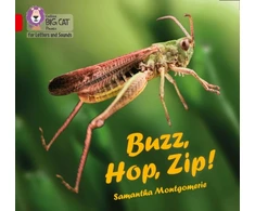KNYGA Collins Big Cat Buzz, Hop, Zip!