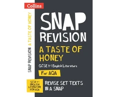 KNYGA Collins Collins Gcse Taste of Honey AQA GCSE 9-1 English Literature Text Guide
