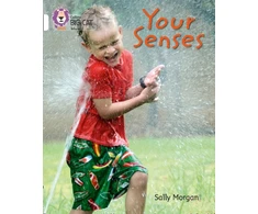KNYGA Collins Educational Staff Your Senses