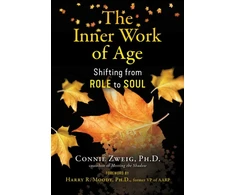 KNYGA Connie Zweig Inner Work of Age