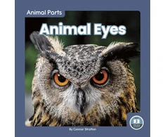 KNYGA Connor Stratton Animal Eyes
