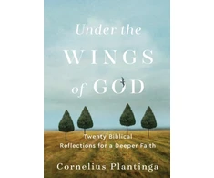 KNYGA Cornelius Plantinga Under the Wings of God – Twenty Biblical Reflections for a Deeper Faith