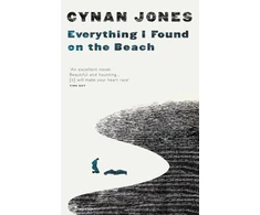 KNYGA Cynan Jones Everything I Found on the Beach