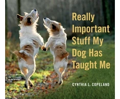 KNYGA Cynthia L Copeland Really Important Stuff My Dog Has Taught Me