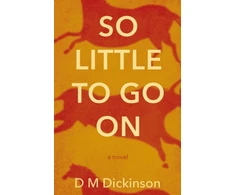 KNYGA D M Dickinson So Little to Go On