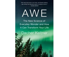 KNYGA Dacher Keltner Awe