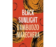 KNYGA Dambudzo Marechera Juodas Sunlight