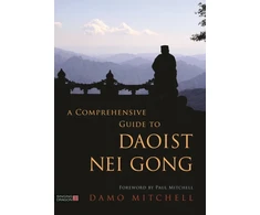 KNYGA Damo Mitchell Comprehensive Guide to Daoist Nei Gong