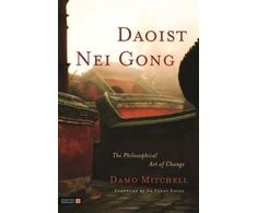KNYGA Damo Mitchell Daoist Nei Gong