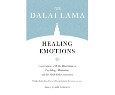 KNYGA Daniel Goleman Emotions