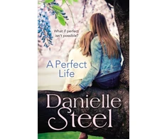 KNYGA Danielle Steel Perfect Life